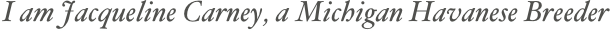 I am Jacqueline Carney, a Michigan Havanese Breeder